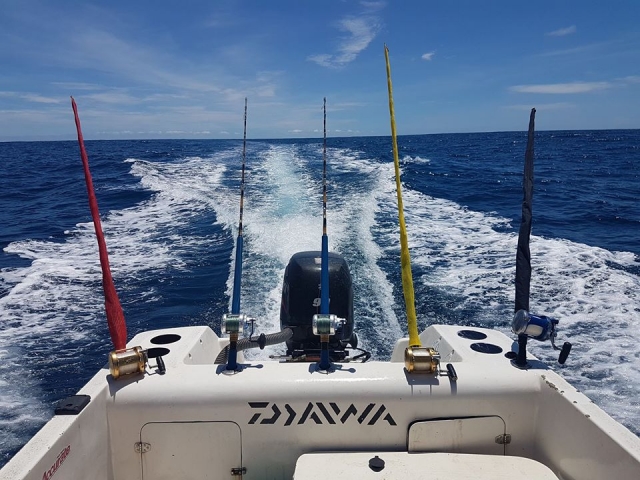 Pesca embarcación